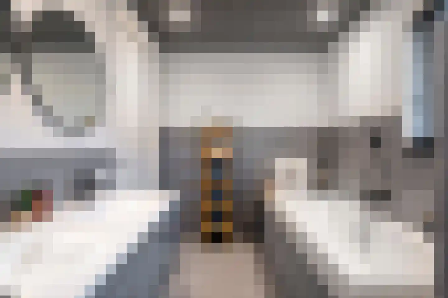 Ootmarsumseweg 92 Albergen thumbnail 21