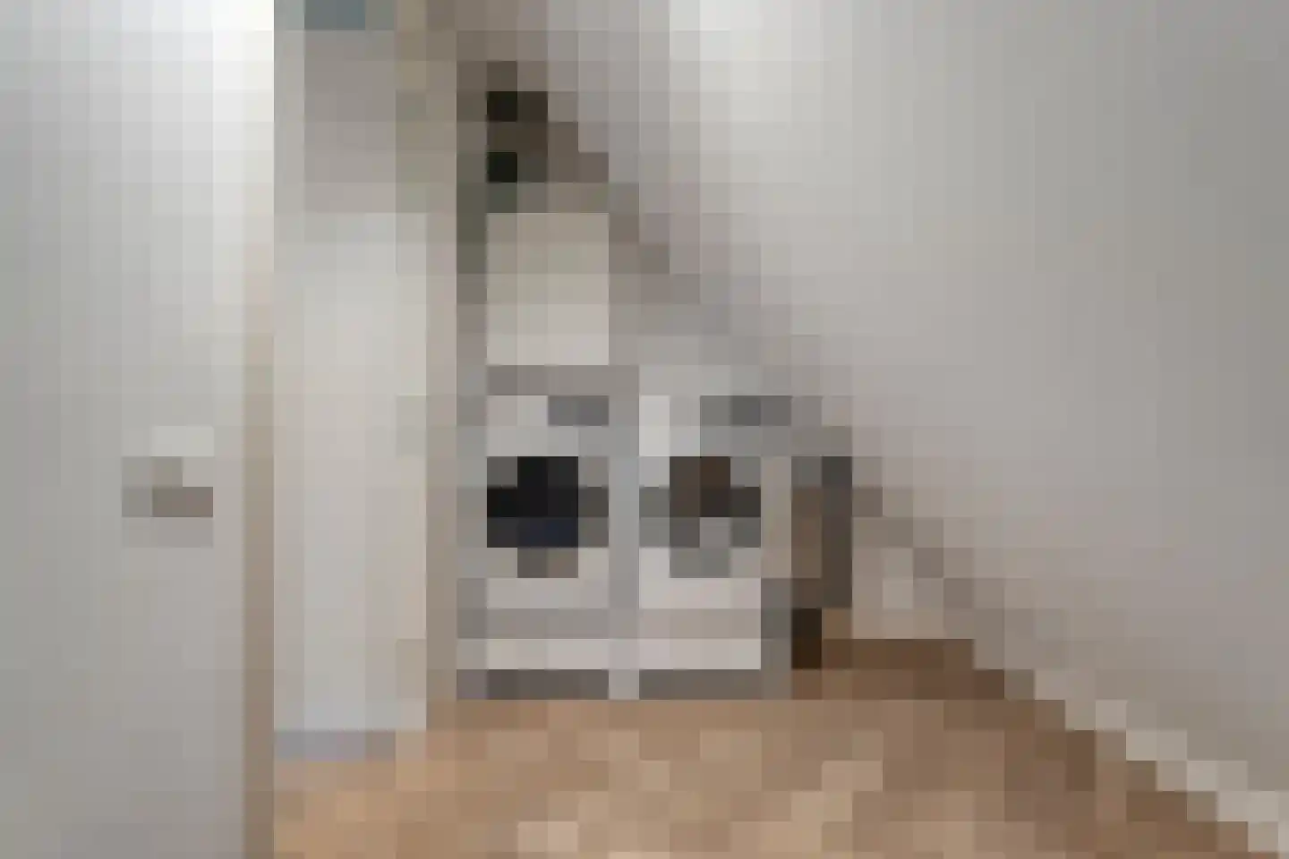 Ootmarsumseweg 92 Albergen thumbnail 22