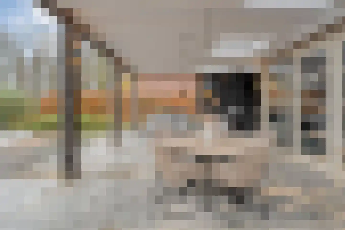 Ootmarsumseweg 92 Albergen thumbnail 24