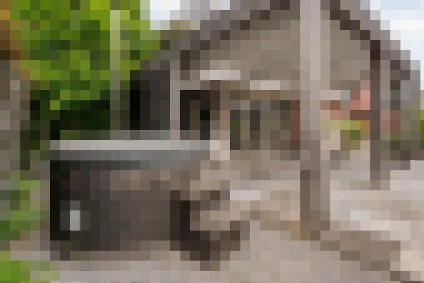 Ootmarsumseweg 92 Albergen thumbnail 25
