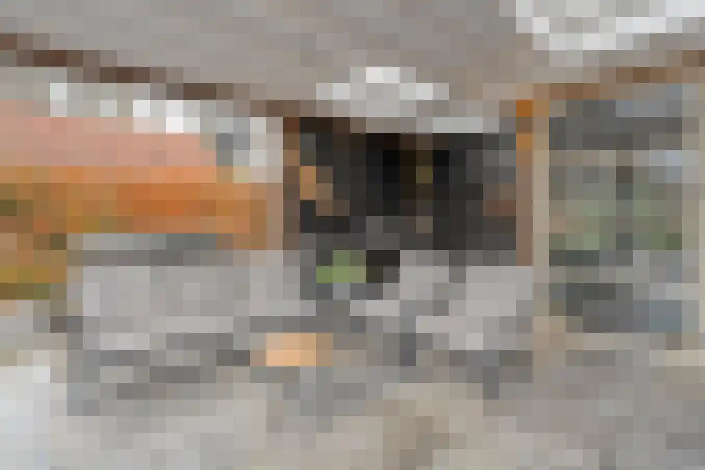 Ootmarsumseweg 92 Albergen thumbnail 25