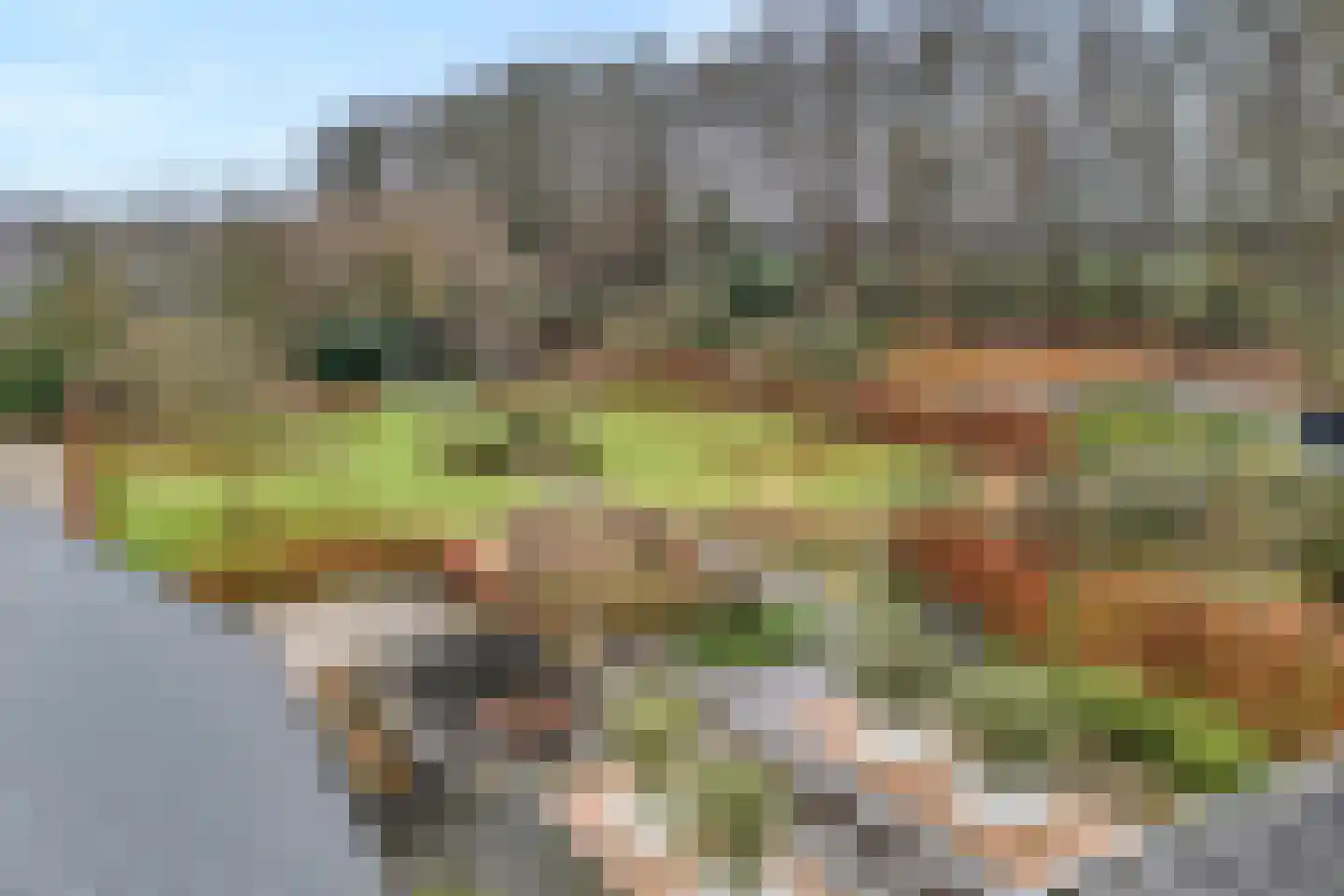 Ootmarsumseweg 92 Albergen thumbnail 28