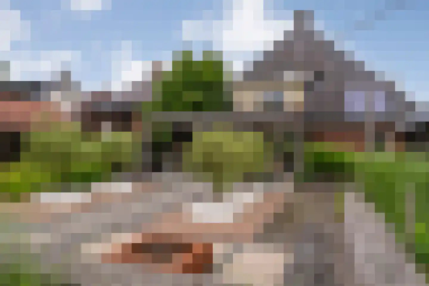 Ootmarsumseweg 92 Albergen thumbnail 28
