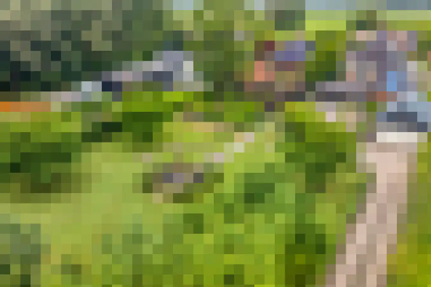 Ootmarsumseweg 92 Albergen thumbnail 31