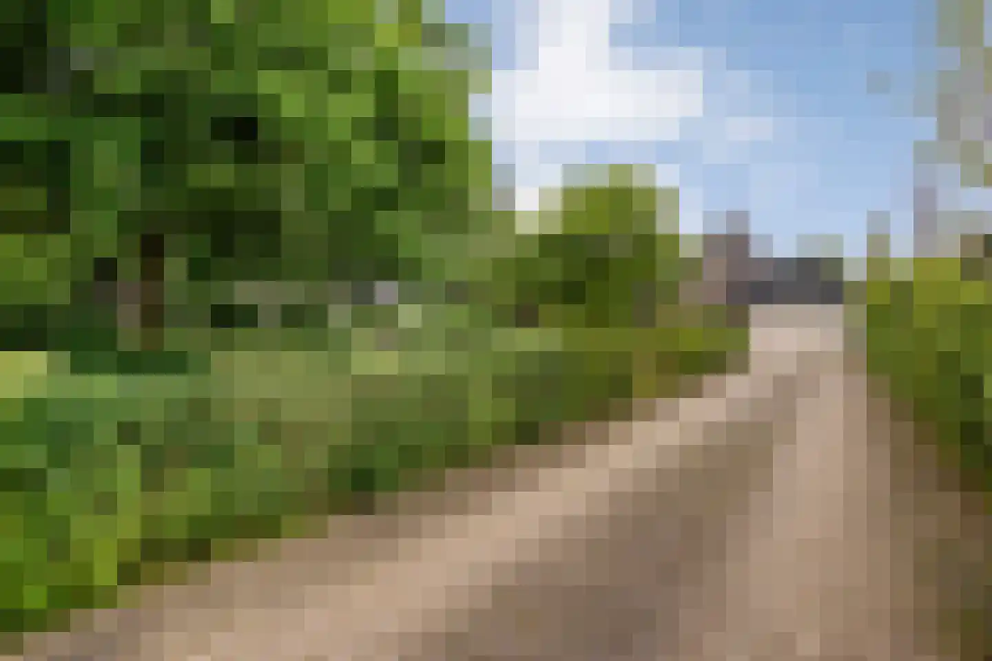 Ootmarsumseweg 92 Albergen thumbnail 32