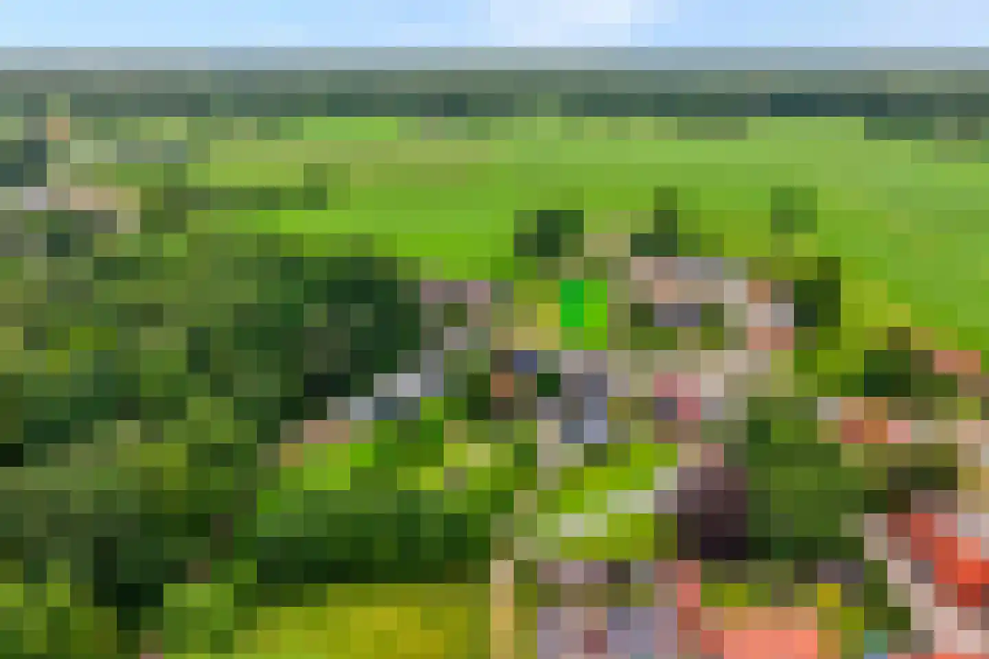 Ootmarsumseweg 92 Albergen thumbnail 35