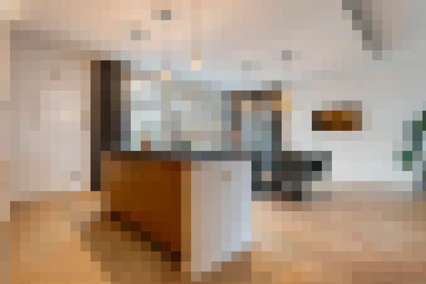 Ootmarsumseweg 92 Albergen thumbnail 6