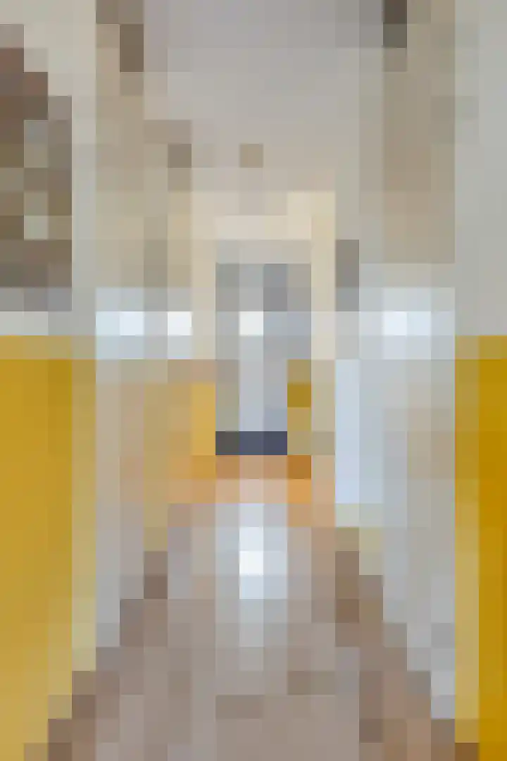 Ooyerdreef 29 Warnsveld thumbnail 10