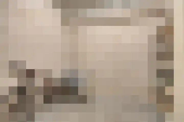 Ooyerdreef 29 Warnsveld thumbnail 33