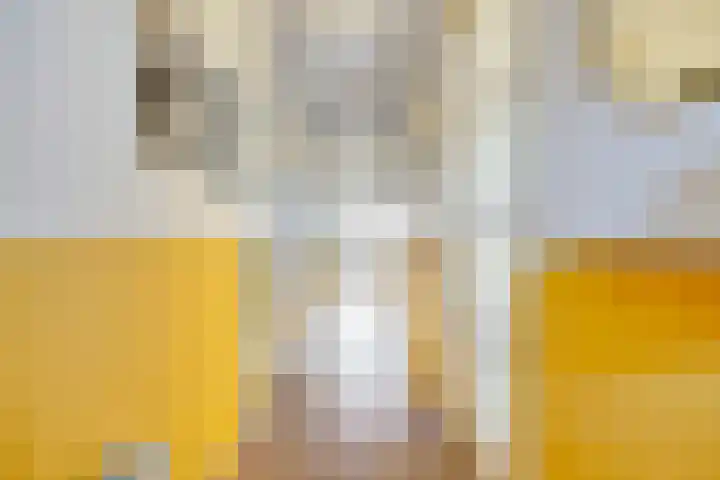 Ooyerdreef 29 Warnsveld thumbnail 9