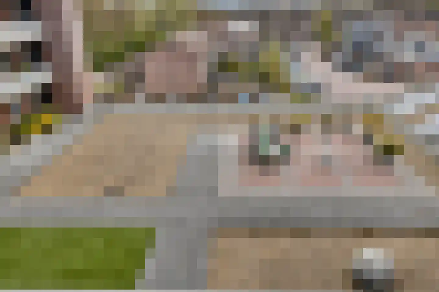Ooyerdreef 61 Warnsveld thumbnail 9