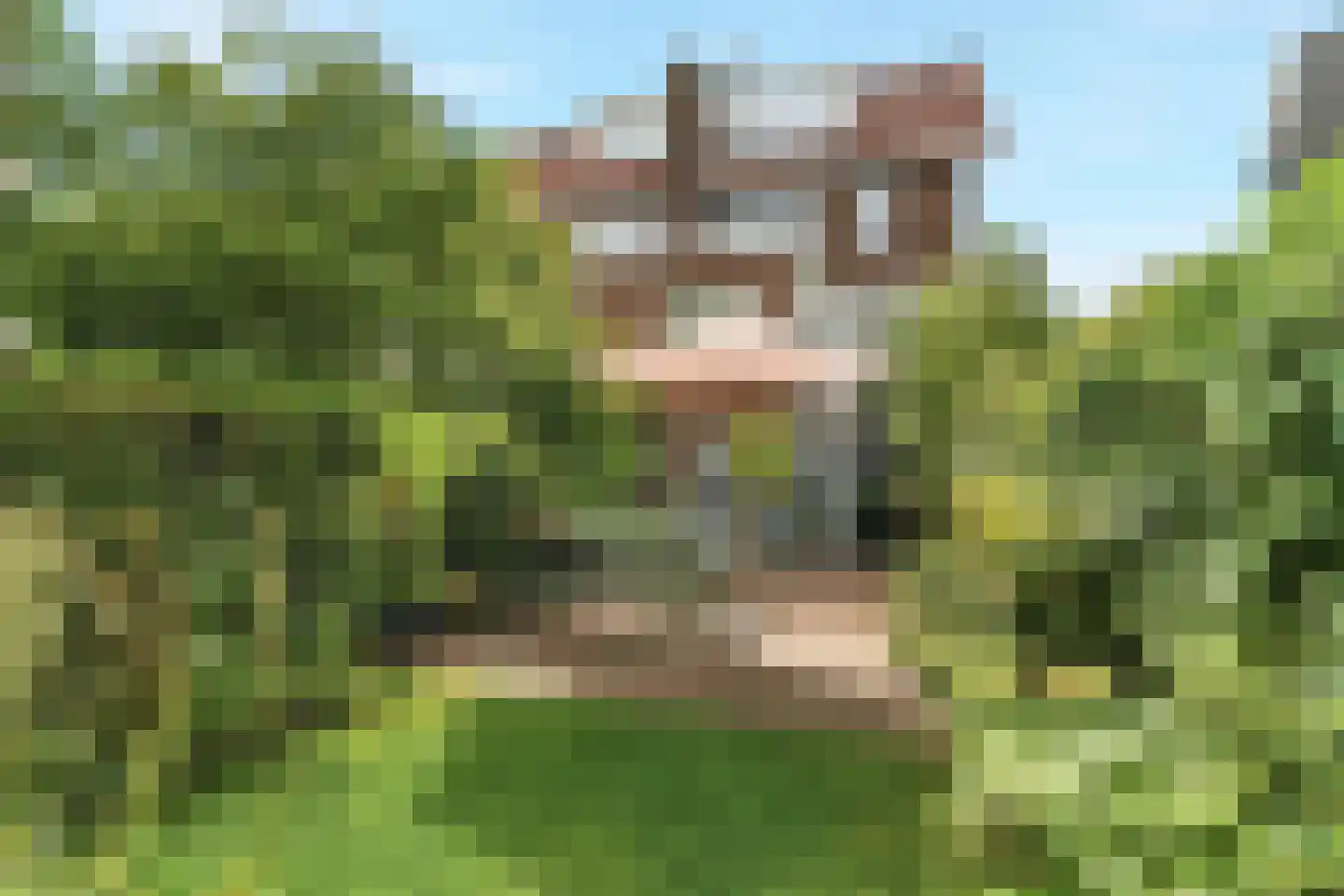 Ooysedijk 55 Nijmegen thumbnail 39