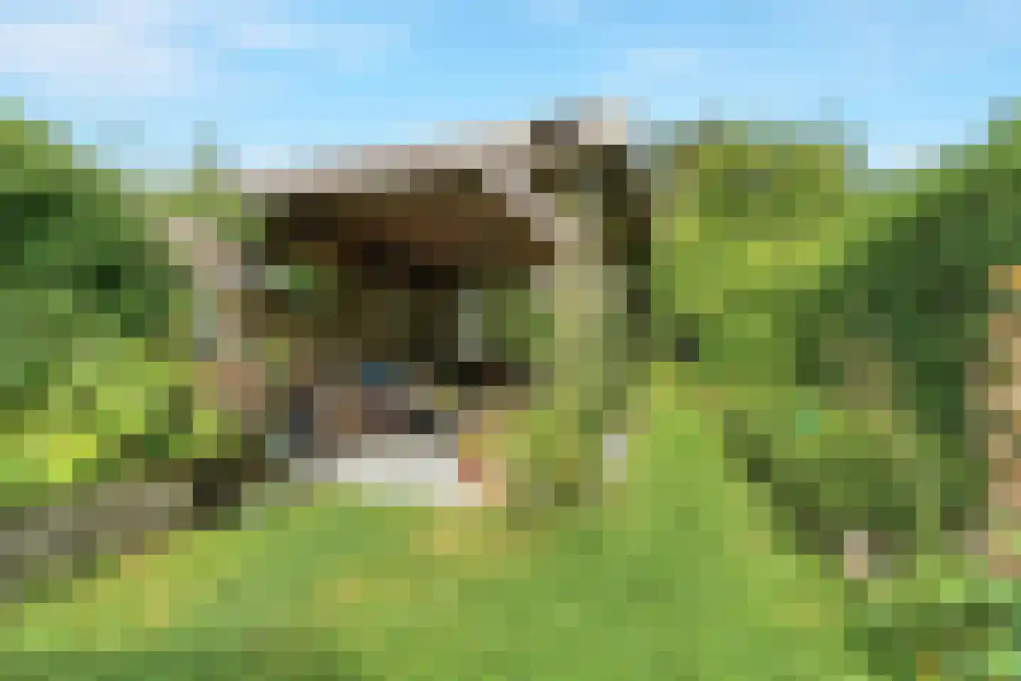 Ooysedijk 55 Nijmegen thumbnail 42