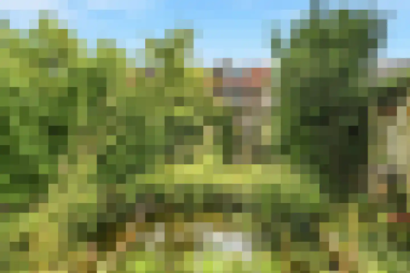 Ooysedijk 55 Nijmegen thumbnail 45