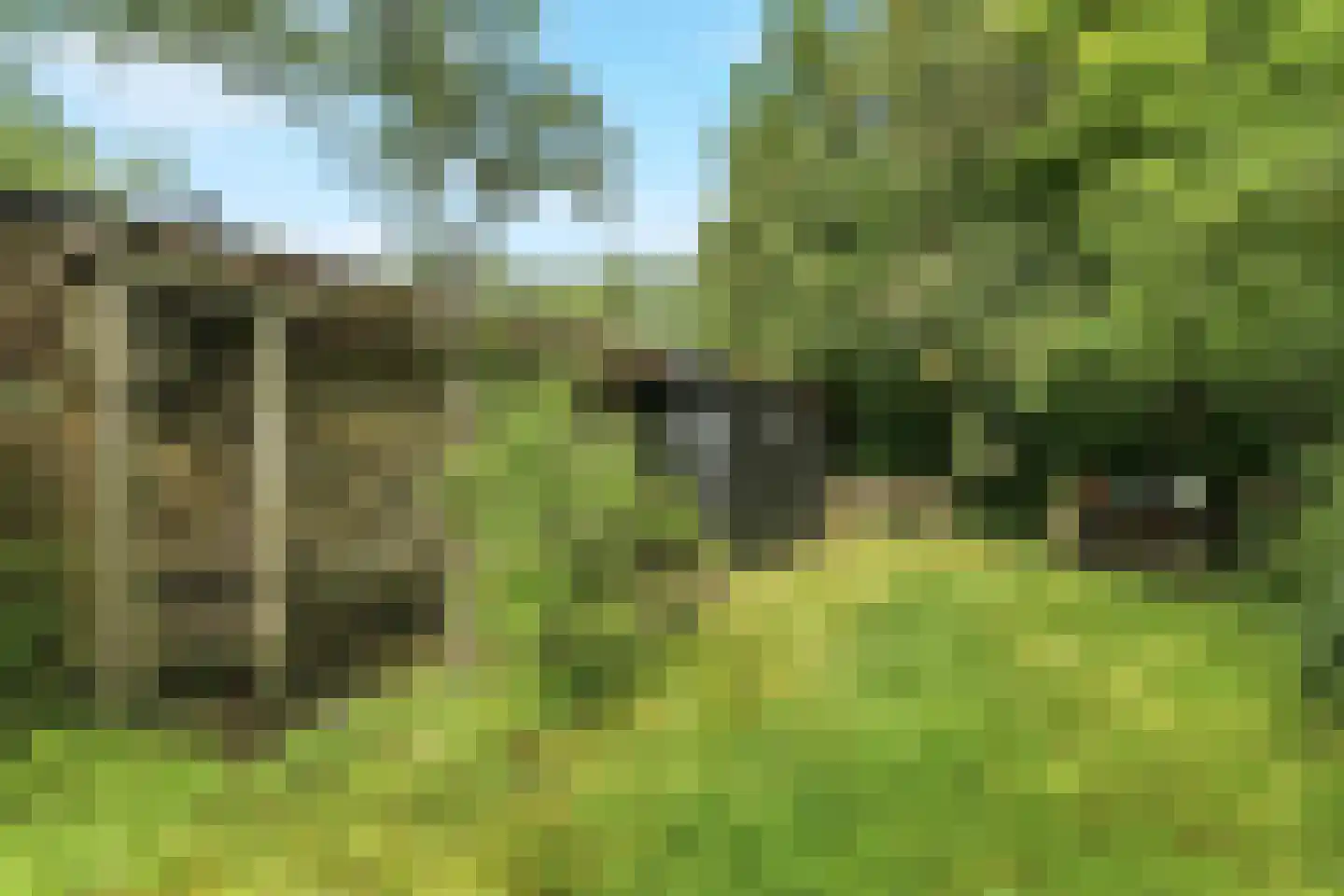Ooysedijk 55 Nijmegen thumbnail 47