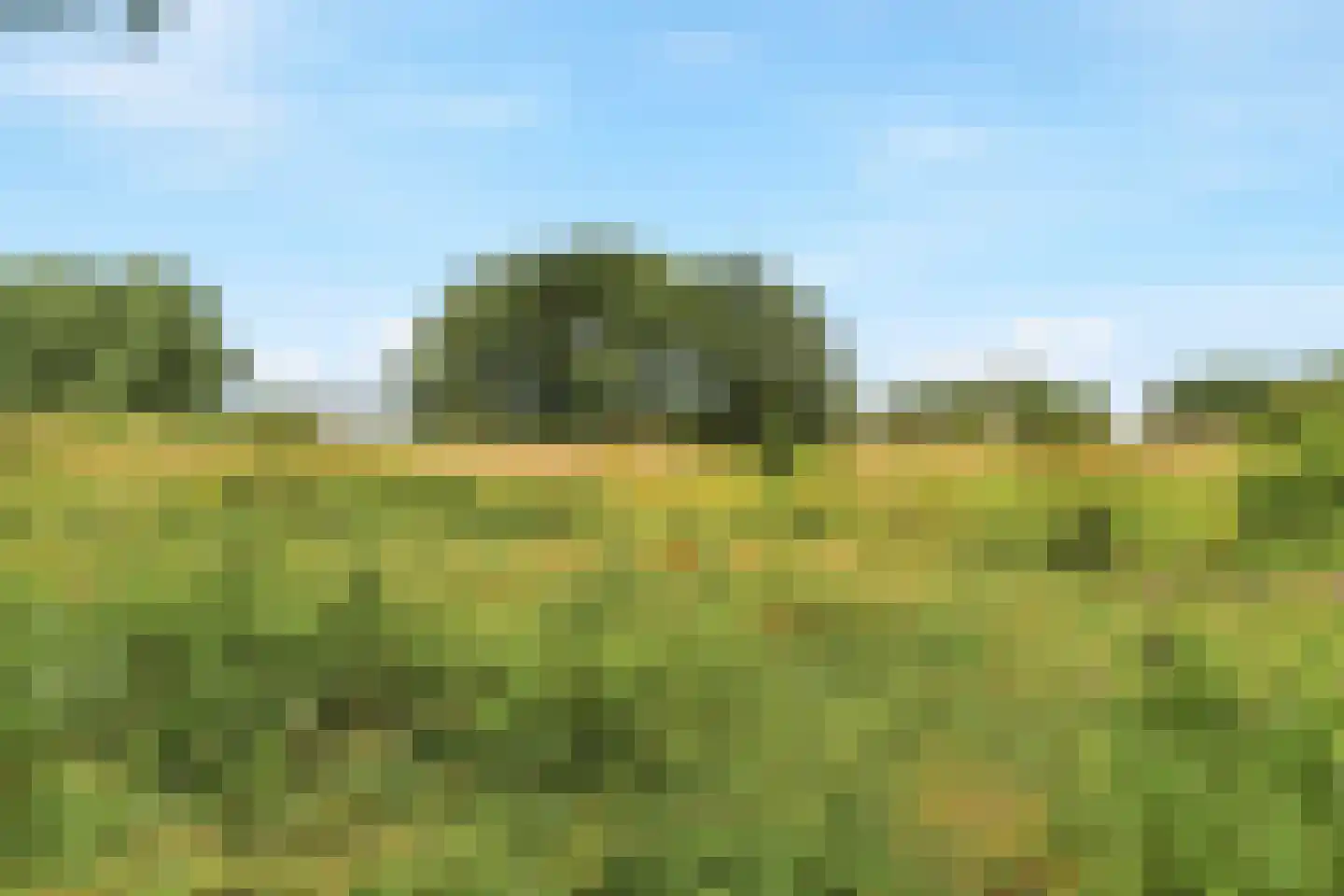 Ooysedijk 55 Nijmegen thumbnail 57