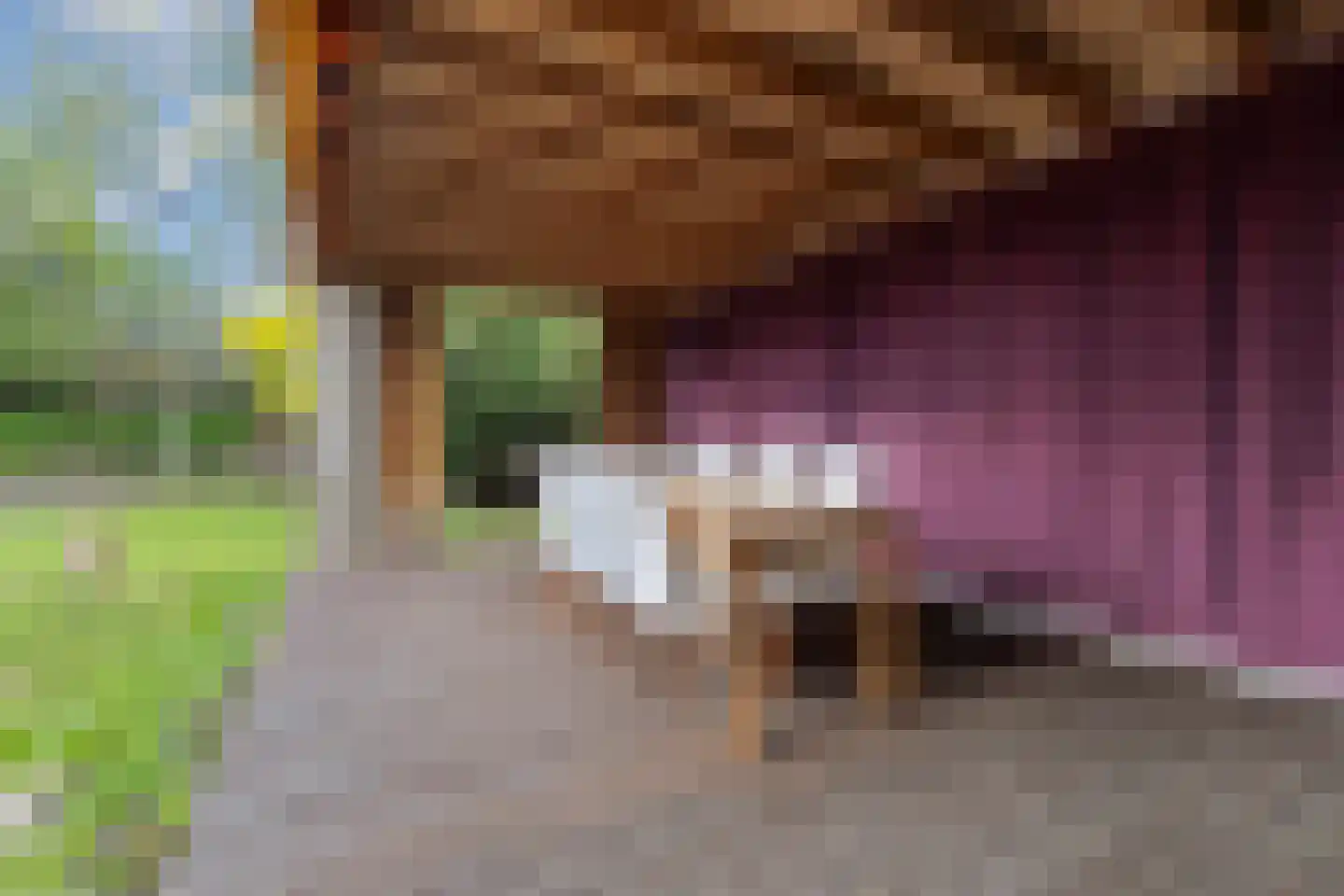Op de Acker 15 Hoensbroek thumbnail 40