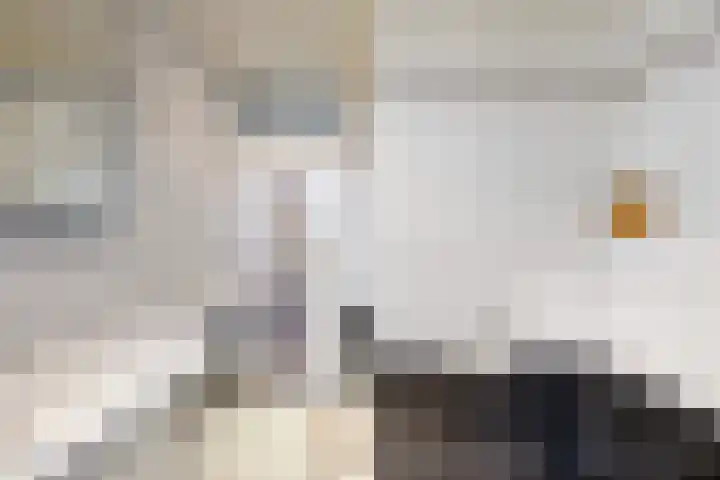 Op de Aks 7 Beek thumbnail 17