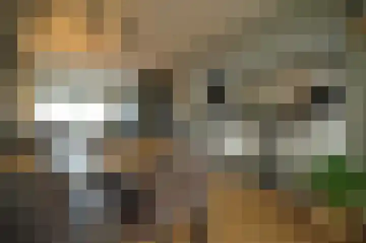 Op de Bannet 28 Maastricht thumbnail 14