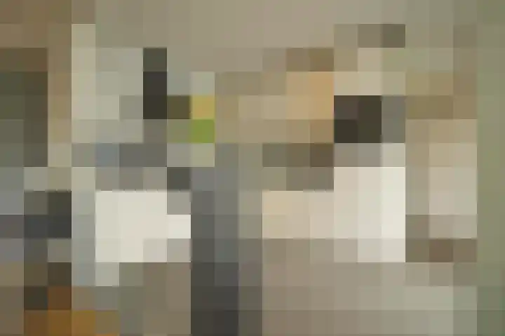 Op de Bannet 28 Maastricht thumbnail 15