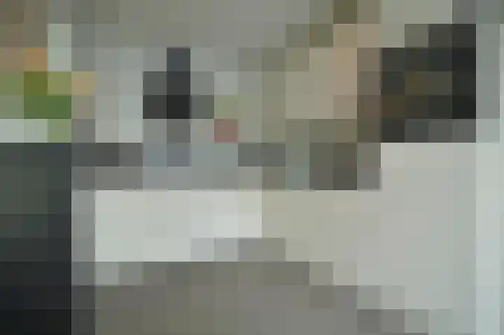 Op de Bannet 28 Maastricht thumbnail 16