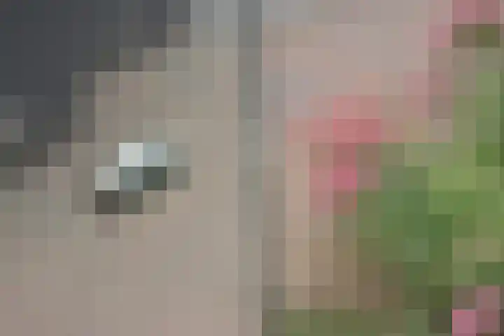 Op de Bannet 28 Maastricht thumbnail 29
