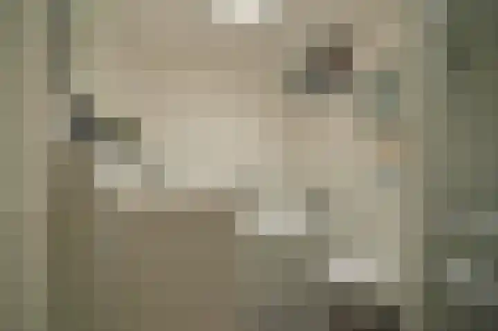 Op de Bannet 28 Maastricht thumbnail 47