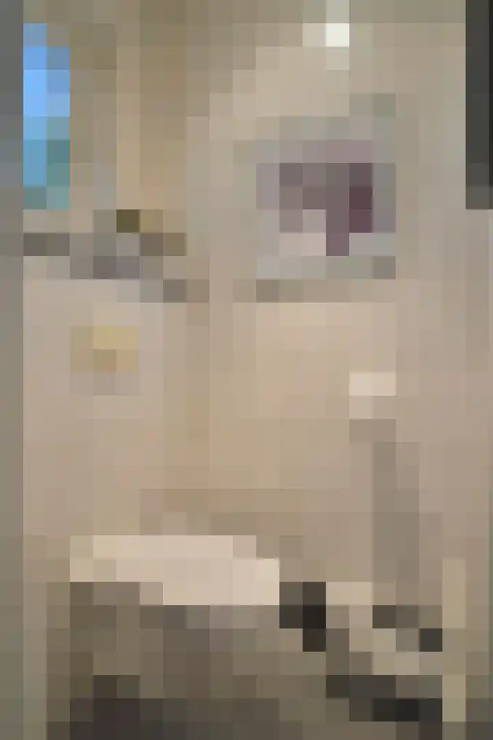 Op de Bannet 28 Maastricht thumbnail 8