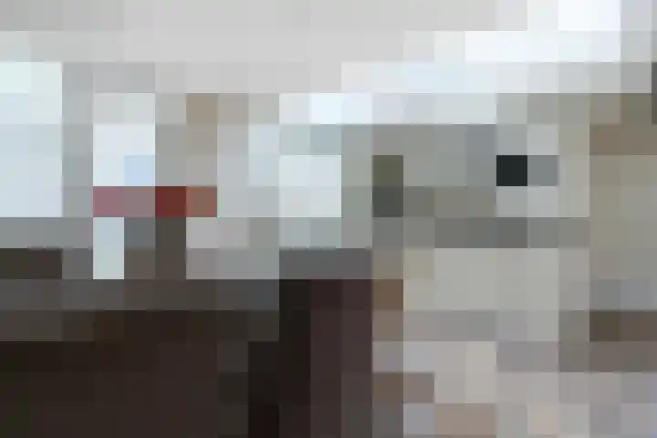Op de Bannet 49 Maastricht thumbnail 15