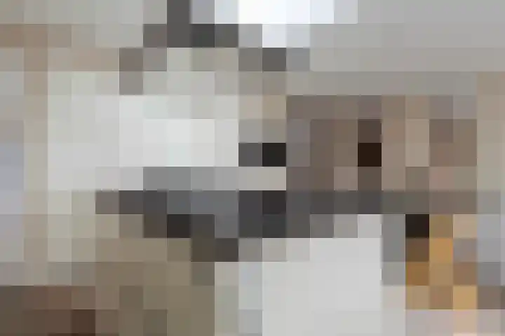 Op de Bannet 49 Maastricht thumbnail 19