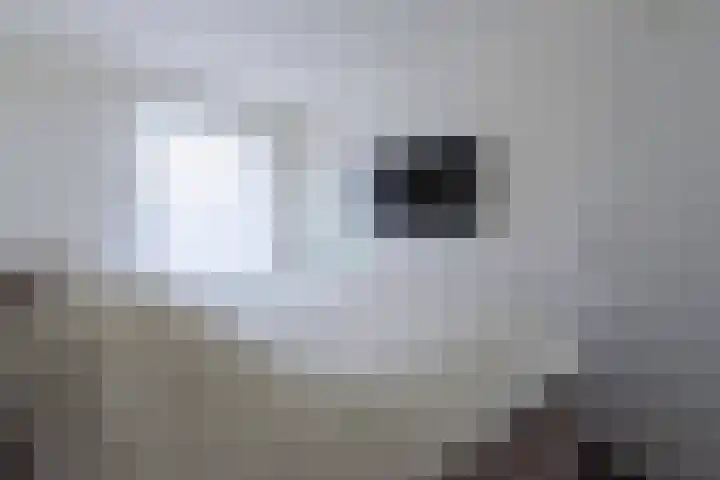 Op de Bannet 49 Maastricht thumbnail 27