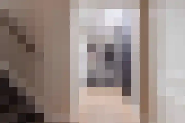 Op de Bannet 49 Maastricht thumbnail 5