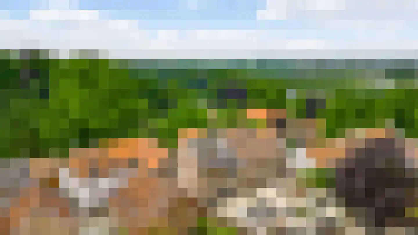 Op de Berg 7 Elsloo thumbnail 43