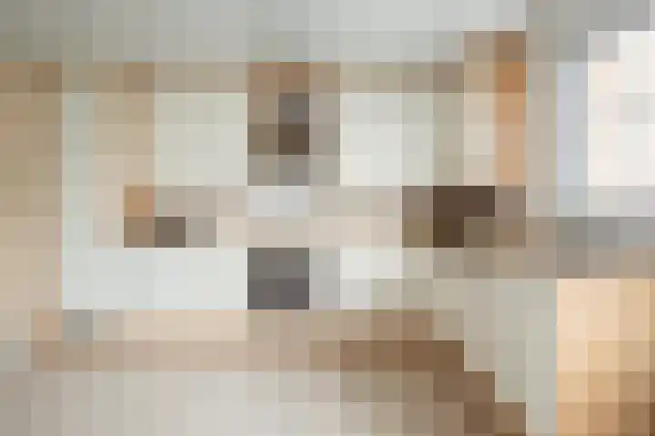 Op de Berg 8 Schinveld thumbnail 12