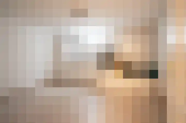 Op de Berg 8 Schinveld thumbnail 28