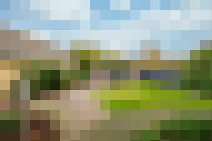 Op de Berg 8 Schinveld thumbnail 31