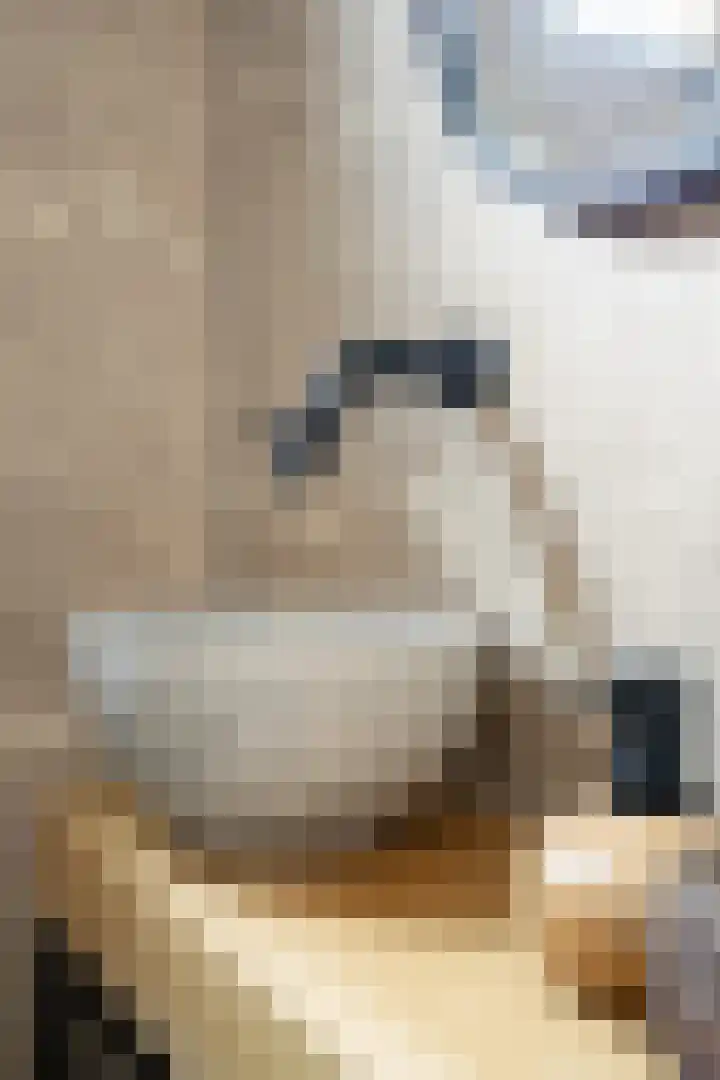 Op de Berg 8 Schinveld thumbnail 6