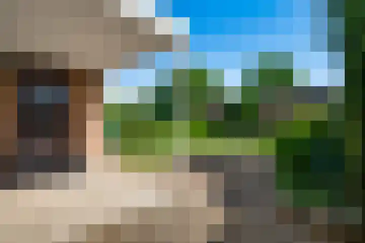Op de Bies 2 B Berg en Terblijt thumbnail 17