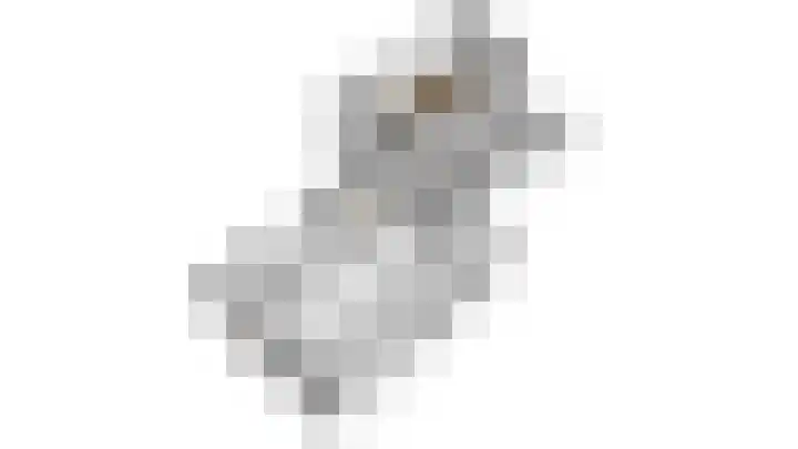 Op de Bies 2 B Berg en Terblijt thumbnail 24