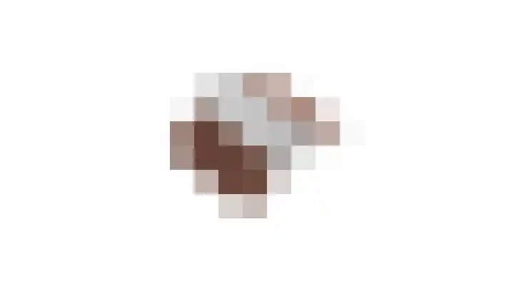 Op de Bies 2 B Berg en Terblijt thumbnail 28