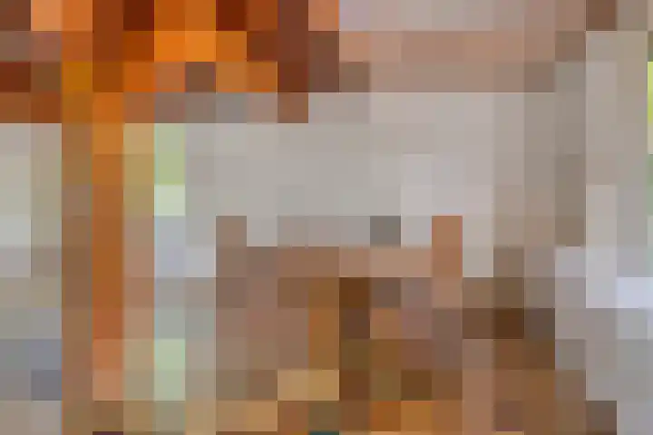 Op de Bies 25 Berg en Terblijt thumbnail 17