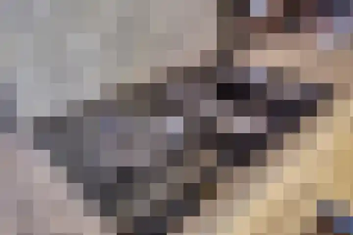 Op de Bies 25 Berg en Terblijt thumbnail 21