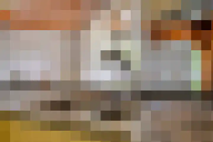 Op de Bies 25 Berg en Terblijt thumbnail 22