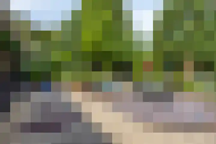 Op de Bies 25 Berg en Terblijt thumbnail 54