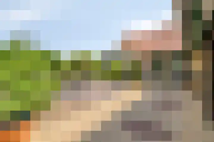 Op de Bies 25 Berg en Terblijt thumbnail 55