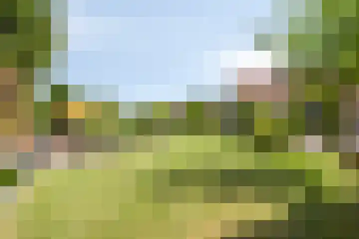 Op de Bies 25 Berg en Terblijt thumbnail 56