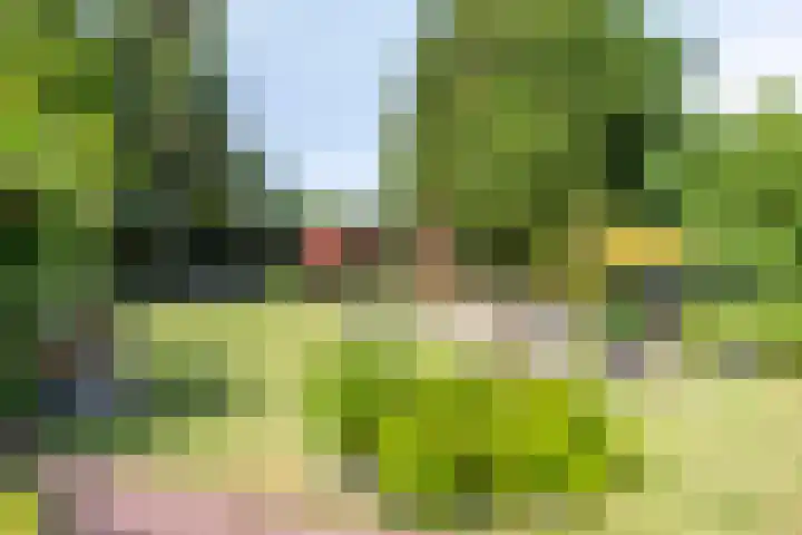 Op de Bies 25 Berg en Terblijt thumbnail 57