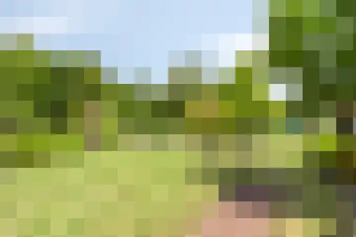 Op de Bies 25 Berg en Terblijt thumbnail 58
