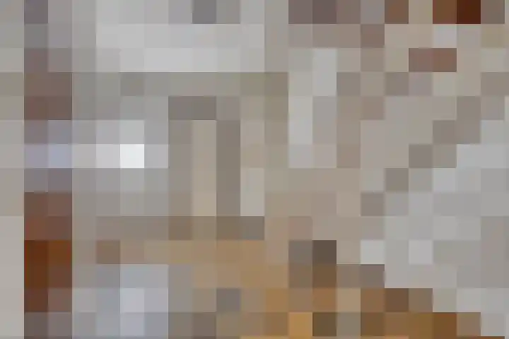 Op de Bies 25 Berg en Terblijt thumbnail 6