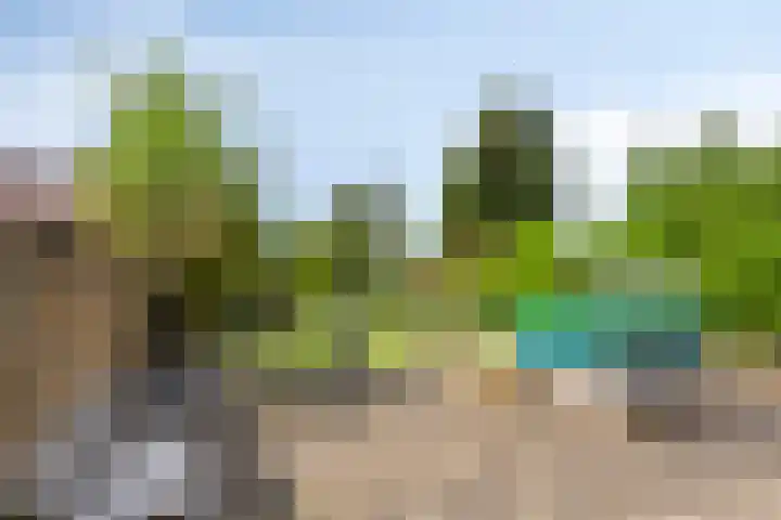 Op de Bies 25 Berg en Terblijt thumbnail 60